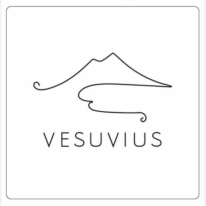 Апартаменты Vesuvius A Mezzocannone Неаполь Экстерьер фото