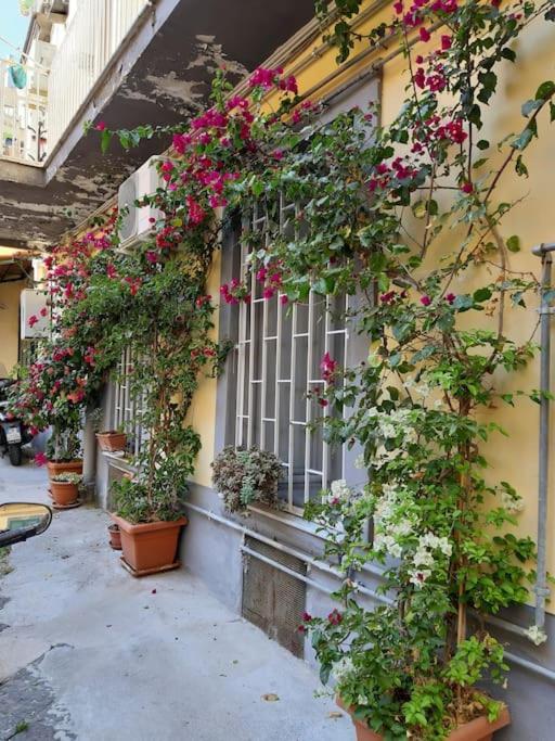 Апартаменты Vesuvius A Mezzocannone Неаполь Экстерьер фото