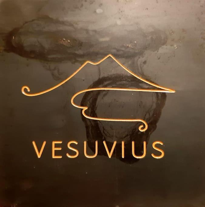 Апартаменты Vesuvius A Mezzocannone Неаполь Экстерьер фото